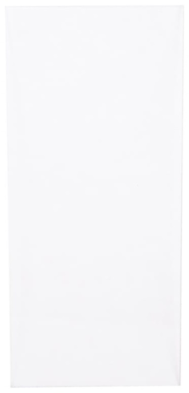 FUBAG Стекло для маски сварщика OPTIMA (внутреннеe)