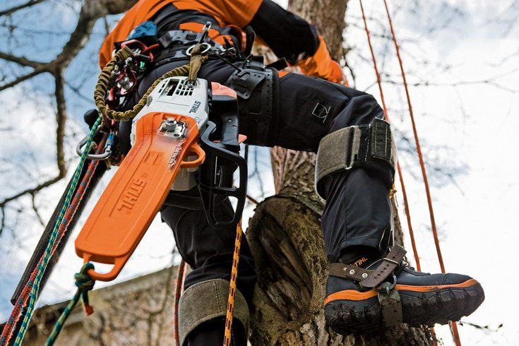 MS 201 TC-M (35 см) - STIHL