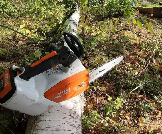 MSA 161 T (25 см., без АК и ЗУ) - STIHL