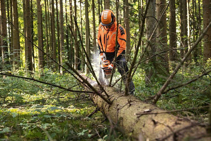 MSA 300 C-O (45 см., без АК и ЗУ) - STIHL