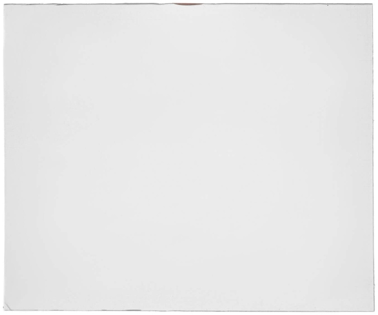 Пластина защитная поликарбонатная 121х69