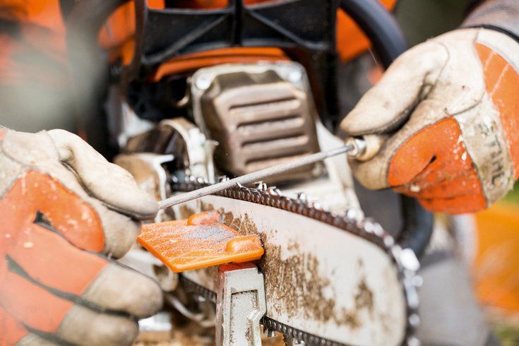 Перчатки с защитой от прорезания FUNCTION PROTECT MS STIHL. XL - STIHL