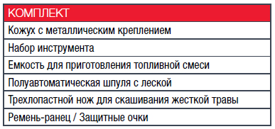 FUBAG Бензотриммер FPT 43