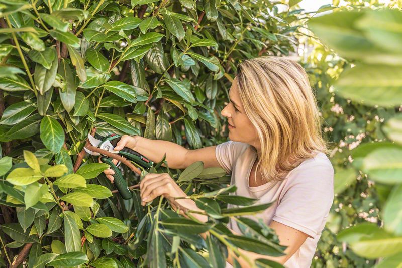 Аккумуляторный секатор Bosch EasyPrune