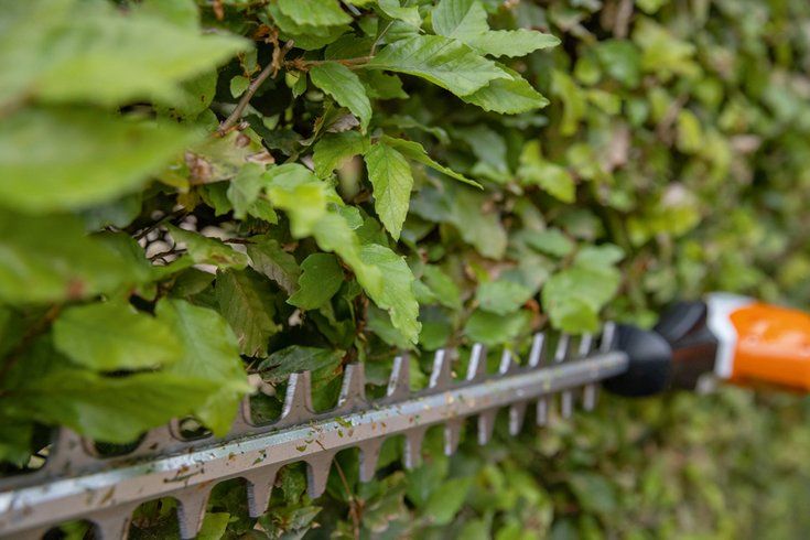 HLA 66 (без АК и ЗУ) - STIHL