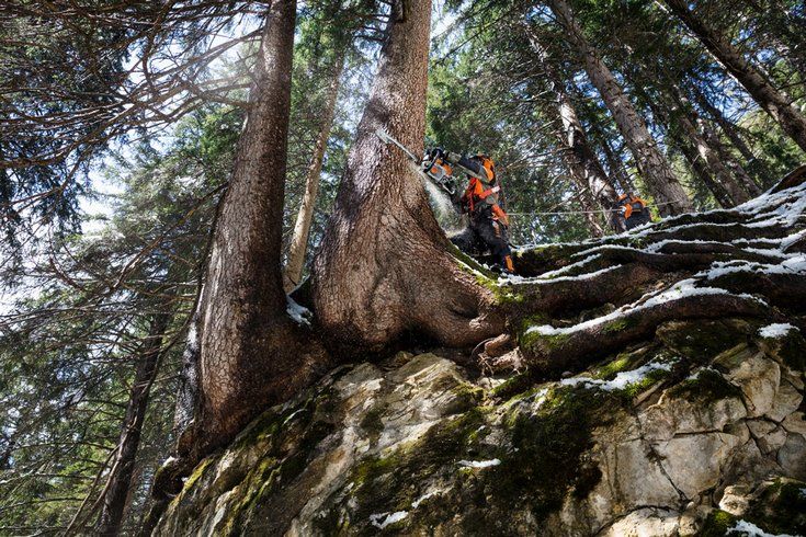 MS 462 (45 см) - STIHL