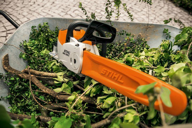 MSA 200 C-BQ SET (35 см., AP 300 + AL 300) - STIHL